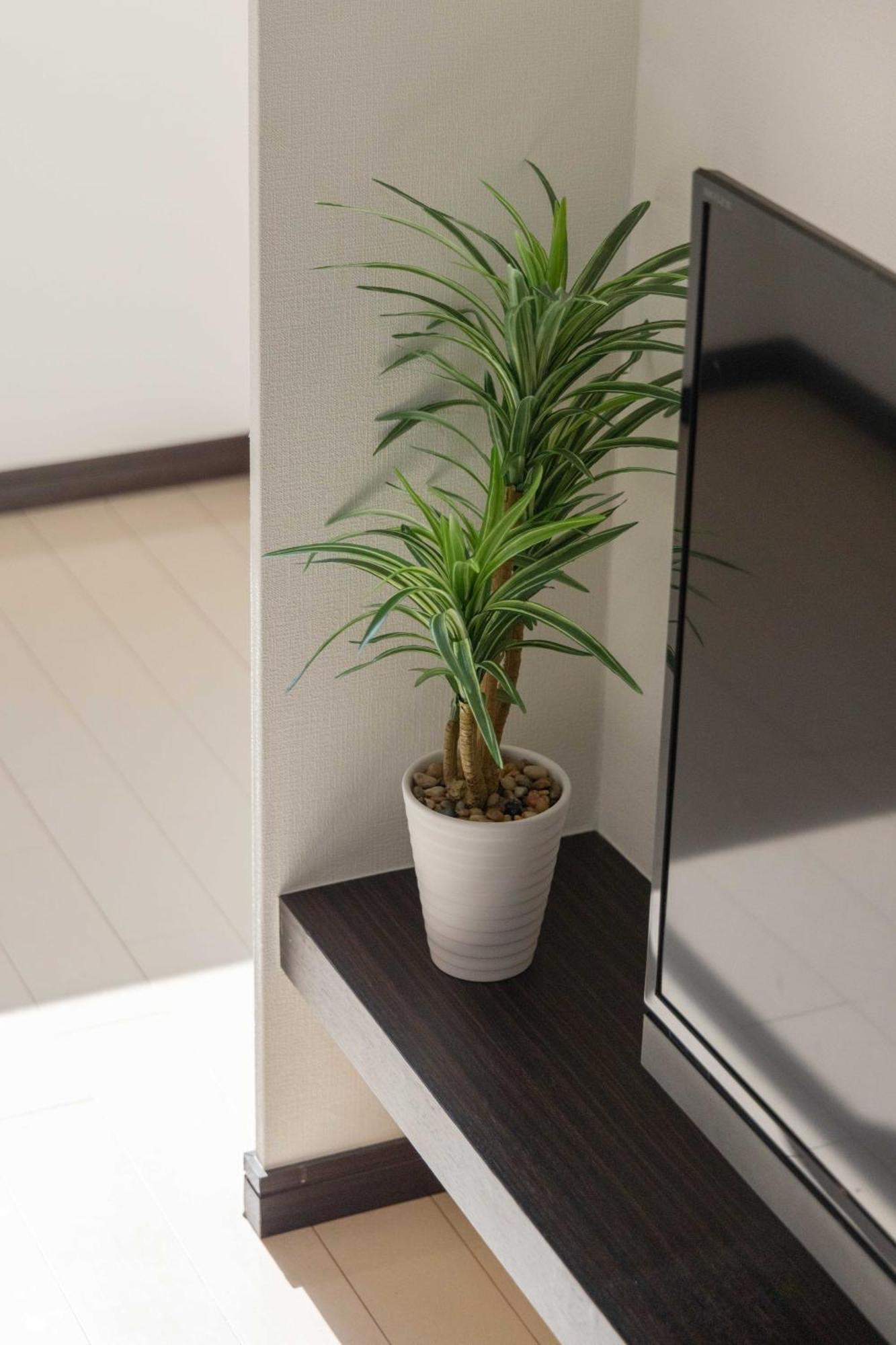Skytree View Kinshicho - Self Check-In Only Διαμέρισμα Τόκιο Εξωτερικό φωτογραφία